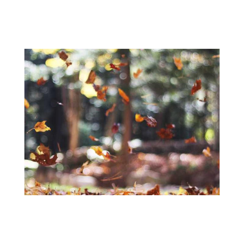 Awesome Steel Wallet fr-FR